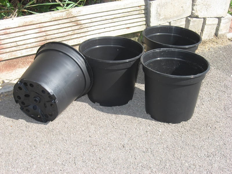 Container Gardening